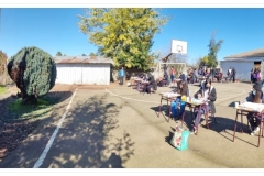 WhatsApp-Image-2022-08-19-at-8.55.40-AM-3